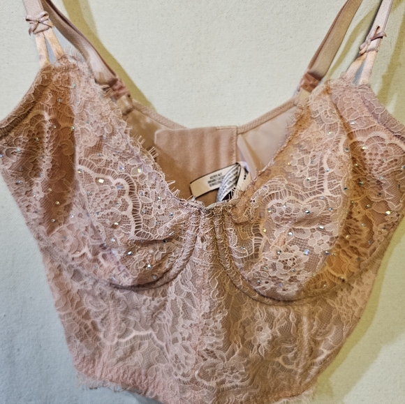 Victoria Secrets Bustier Lace Top in Blush Pink - Picture 2 of 8